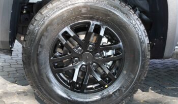 
									ZX Grand Lion 2025 At-4×4 lleno								