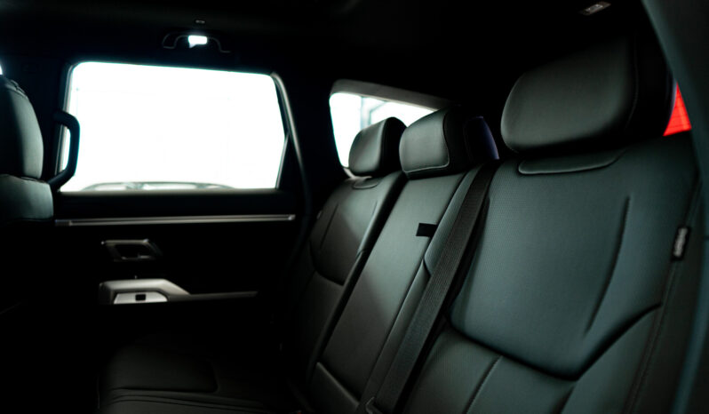 								DEEPAL G318 REEV 2026 lleno									